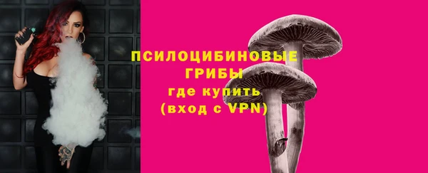 a pvp Алексин