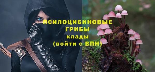 a pvp Алексин
