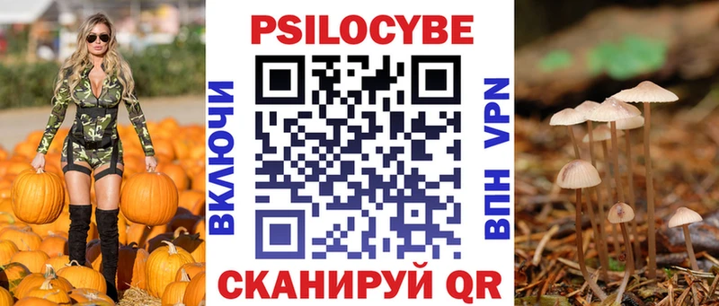 Галлюциногенные грибы прущие грибы  где можно купить   это как зайти  Болгар 